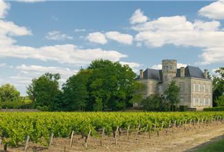 Bordeaux wine
