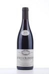 2010 GEVREY CHAMBERTIN  (Burgundy)